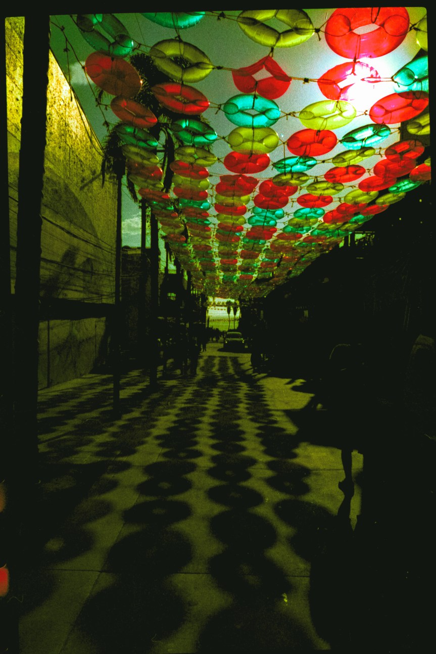 Rosarito – verano&nbsp;2025