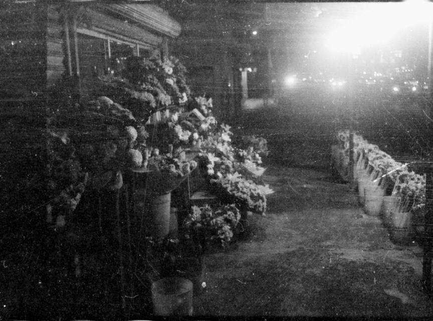 Rosarito, Baja California – Verano 2025&nbsp;#film